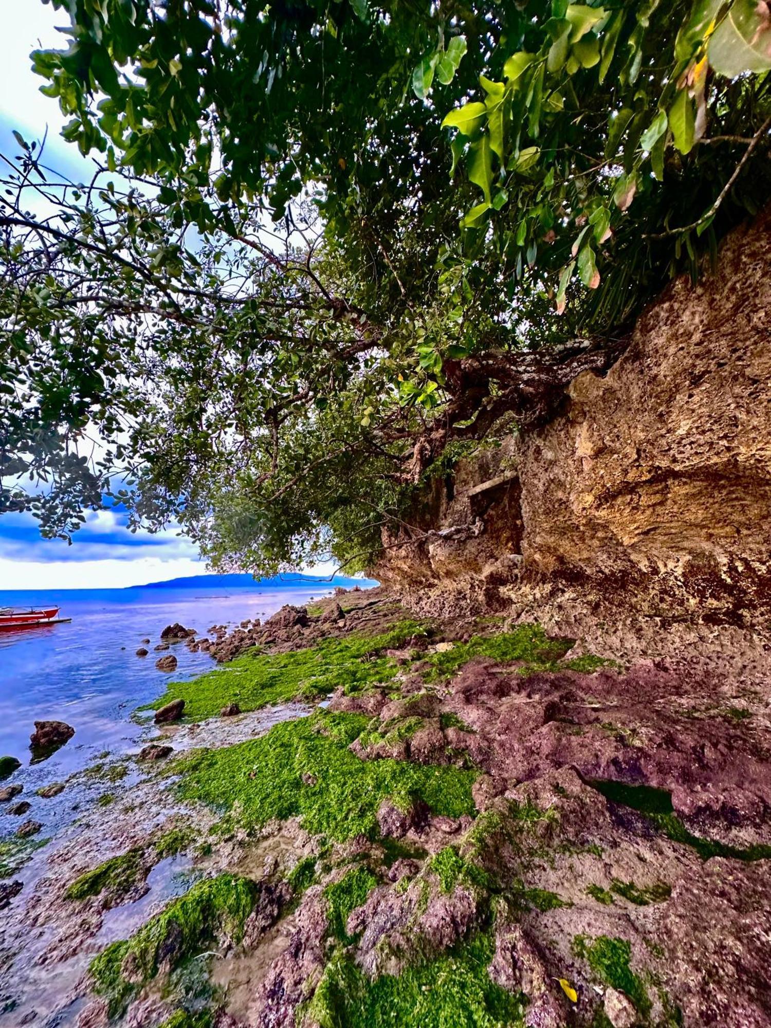 Sapphire Boutique Resort Panglao City Exterior foto